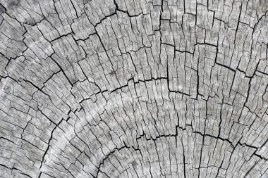 arkaplan için eski ahşap dokusu.