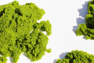 Wolffia globosa veya bataklık yosunu, su yemeği