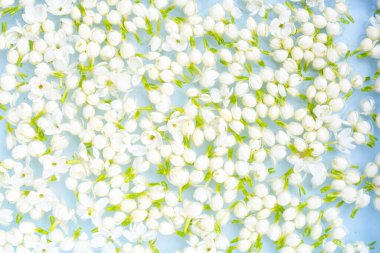 Suda Tayland yasemin çiçeği