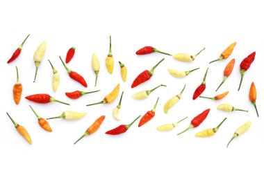 Beyaz arka planda taze kırmızı biber.