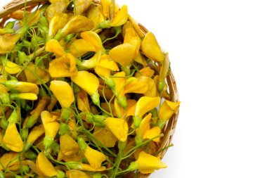 Beyaz arkaplanda Susbanya çiçeği.