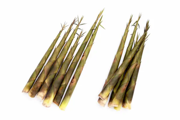 Beyaz Arka Planda Taze Bambu Filizleri Telifsiz Stok Fotoğraflar