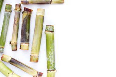 Beyaz arkaplanda taze şeker kamışı.