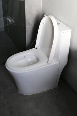 Tuvalette beyaz seramik klozet