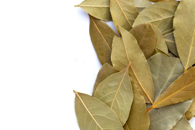 Beyaz arkaplanda kurumuş körfez yaprakları.
