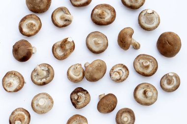 Beyaz arka planda taze shiitake mantarları.