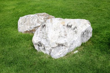 Parktaki çimlerde taş