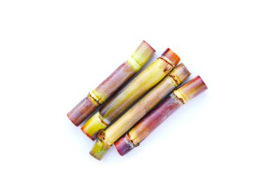 Beyaz arkaplanda taze şeker kamışı.