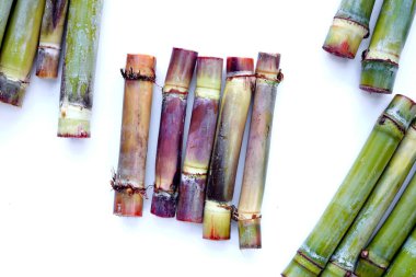 Beyaz arkaplanda taze şeker kamışı.