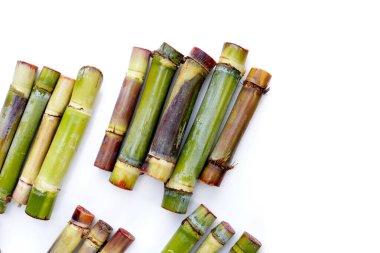 Beyaz arkaplanda taze şeker kamışı.