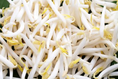 Muz yaprağında fasulye filizleri