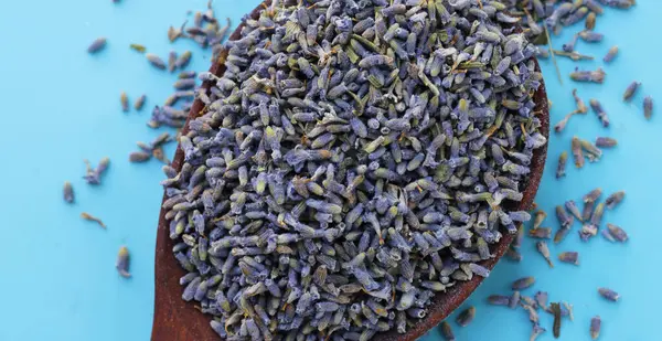 Bitki çayı demlemek için kurutulmuş lavanta tomurcukları.