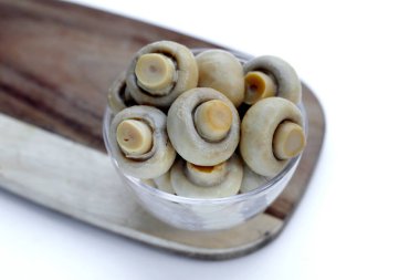 Salamura mantar. Konserve şampiyon mantarları.