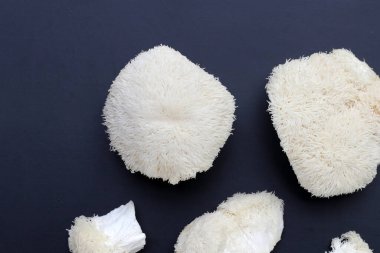 Fresh lion's mane mushroom on dark background.