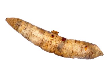 Beyaz arkaplanda Cassava.