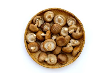Beyaz arka planda taze shiitake mantarları.