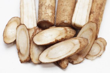 Beyaz arkaplanda Burdock Kökü (Gobo).