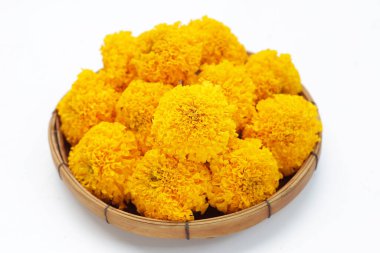 Güzel sarı kadife çiçekleri