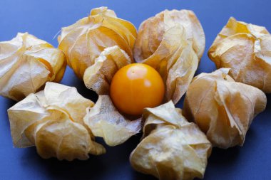 Taze bektaşi üzümü pelerini. Lezzetli tropikal meyve