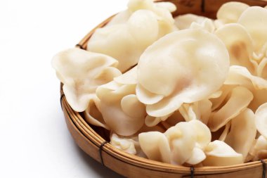 Beyaz jöle mantarı ya da beyaz kulak mantarı