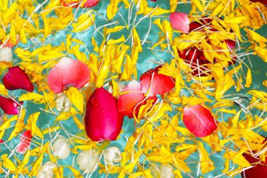 Yasemin çiçekli su, kadife yaprakları ve kâsede gül yaprakları. Tayland geleneği, Songkran festivali konsepti