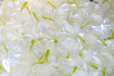 Kasede yasemin olan su. Tayland geleneği, Songkran festivali konsepti