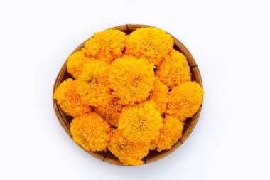 Güzel sarı kadife çiçekleri