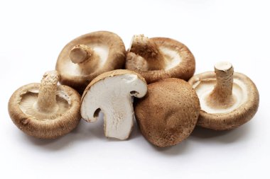 Beyaz arka planda taze shiitake mantarları.