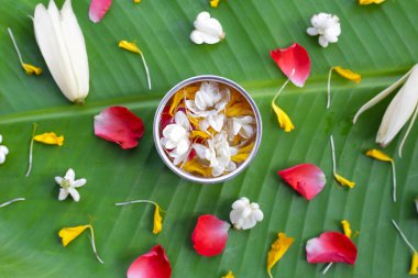 Yasemin çiçekli su, kadife yaprakları ve gümüş kasede gül yaprakları. Tayland geleneği, Songkran festivali konsepti