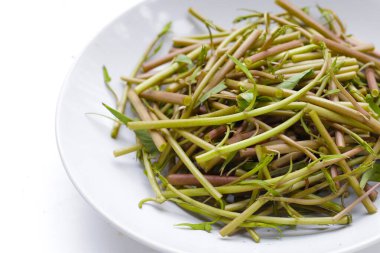 Beyaz zemin üzerinde su konvülvüsü ya da su ıspanağı.