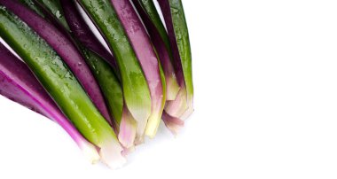 Tekne zambağı, İstiridye Zambağı, İstiridye Bitkisi, Beyaz Çiçekli Tradescantia.