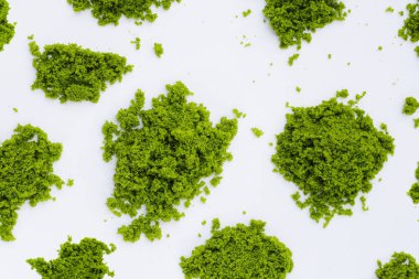 Wolffia globosa veya bataklık yosunu, su yemeği