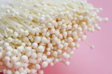 Pembe arka planda taze Enoki mantarları.