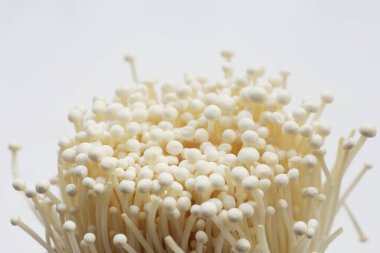 Beyaz arka plan üzerinde taze Enoki mantar