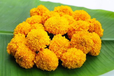 Güzel sarı kadife çiçekleri