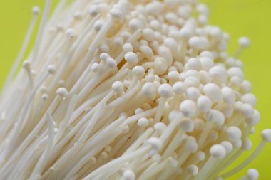Yeşil arka planda taze Enoki mantarları