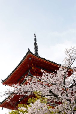 Kyoto, Japonya 'daki kiyomizu-dera tapınağı.