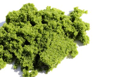 Wolffia globosa veya bataklık yosunu, su yemeği