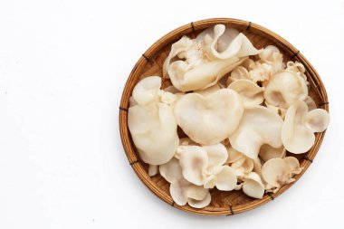 Beyaz jöle mantarı ya da beyaz kulak mantarı