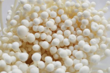 Taze enoki mantarı, sağlık için sebze.