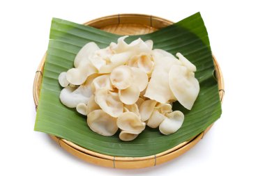 Beyaz jöle mantarı ya da beyaz kulak mantarı