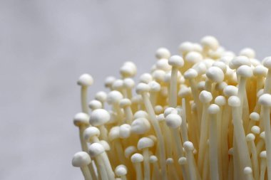 Beyaz arka plan üzerinde taze Enoki mantar