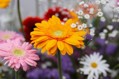 Güzel çiçek buketi, çiçek arkaplanı.