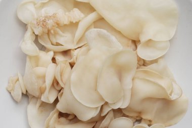 Beyaz jöle mantarı ya da beyaz kulak mantarı