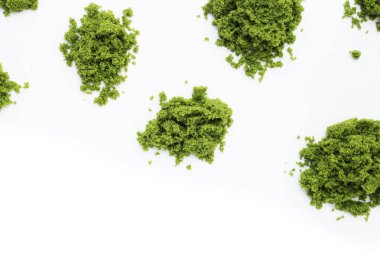 Wolffia globosa veya bataklık yosunu, su yemeği