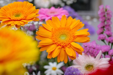 Güzel çiçek buketi, çiçek arkaplanı.