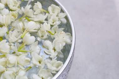 Yasemin çiçekli su. Tayland geleneği, Songkran festivali konsepti