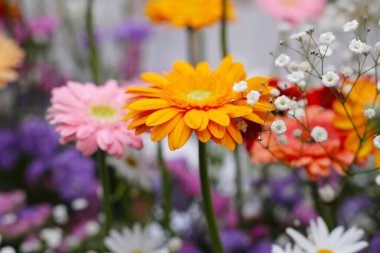 Güzel çiçek buketi, çiçek arkaplanı.