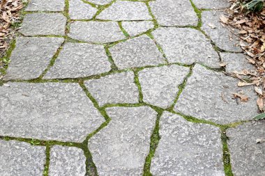 blok taş yürüyüş yolu Park