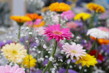 Güzel çiçek buketi, çiçek arkaplanı.